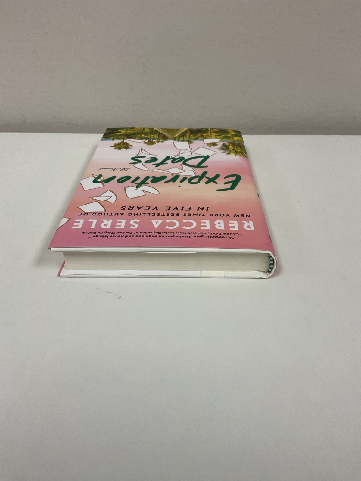 Expiration Dates : A Novel by Rebecca Serle (2024, Hardcover)