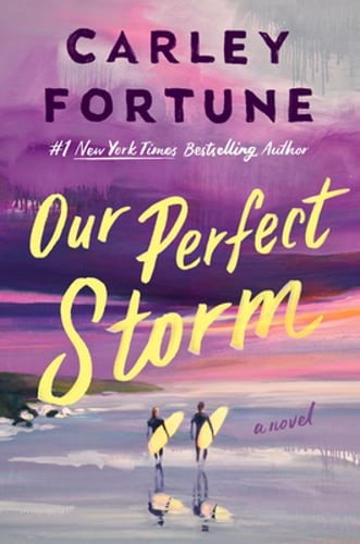 Our Perfect Storm by Carley Fortune: Used