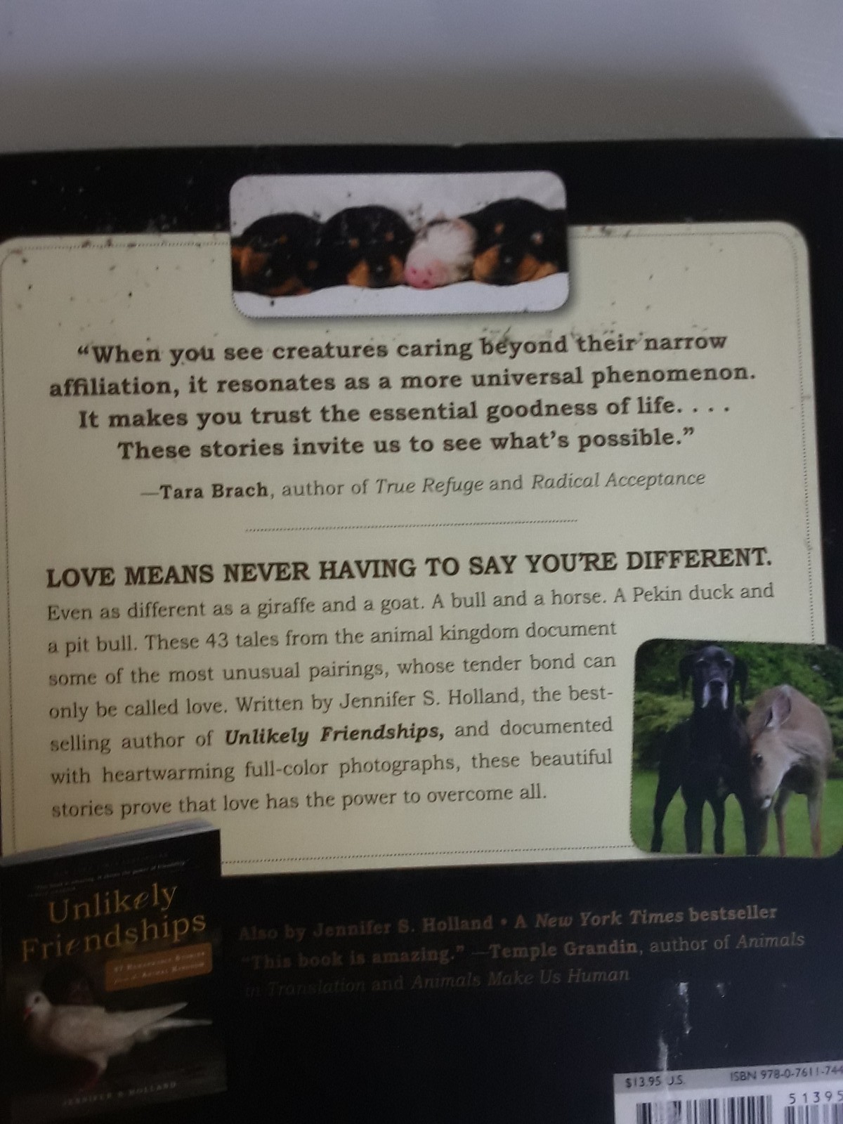 Unlikely Loves By Jennifer S. Holland 43 Heartwarming True Stories Animals Pets