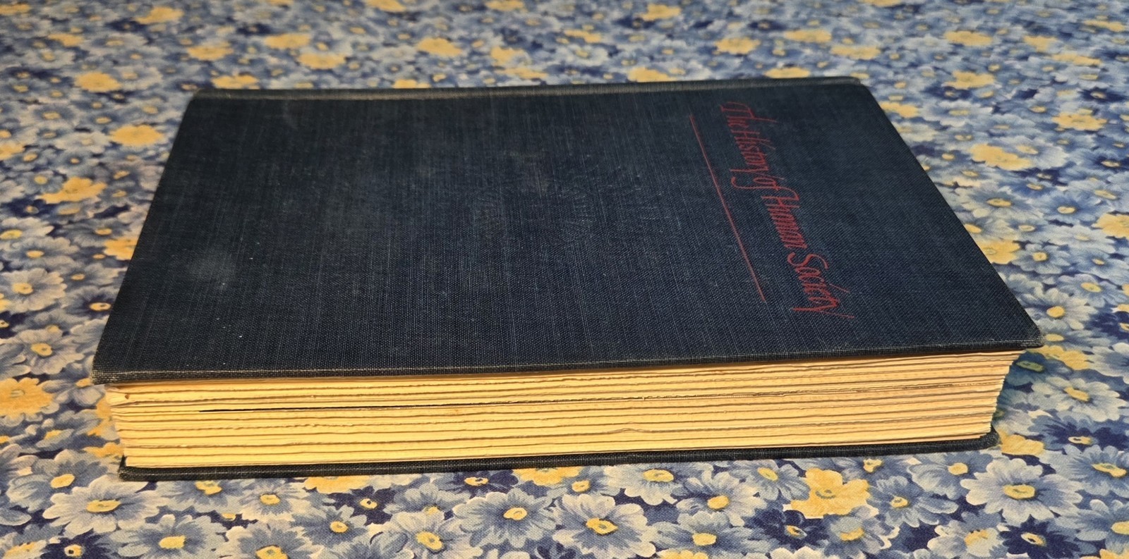 The Dutch Seaborne Empire 1600-1800 History of Human Society 1st Edition 1965 HC