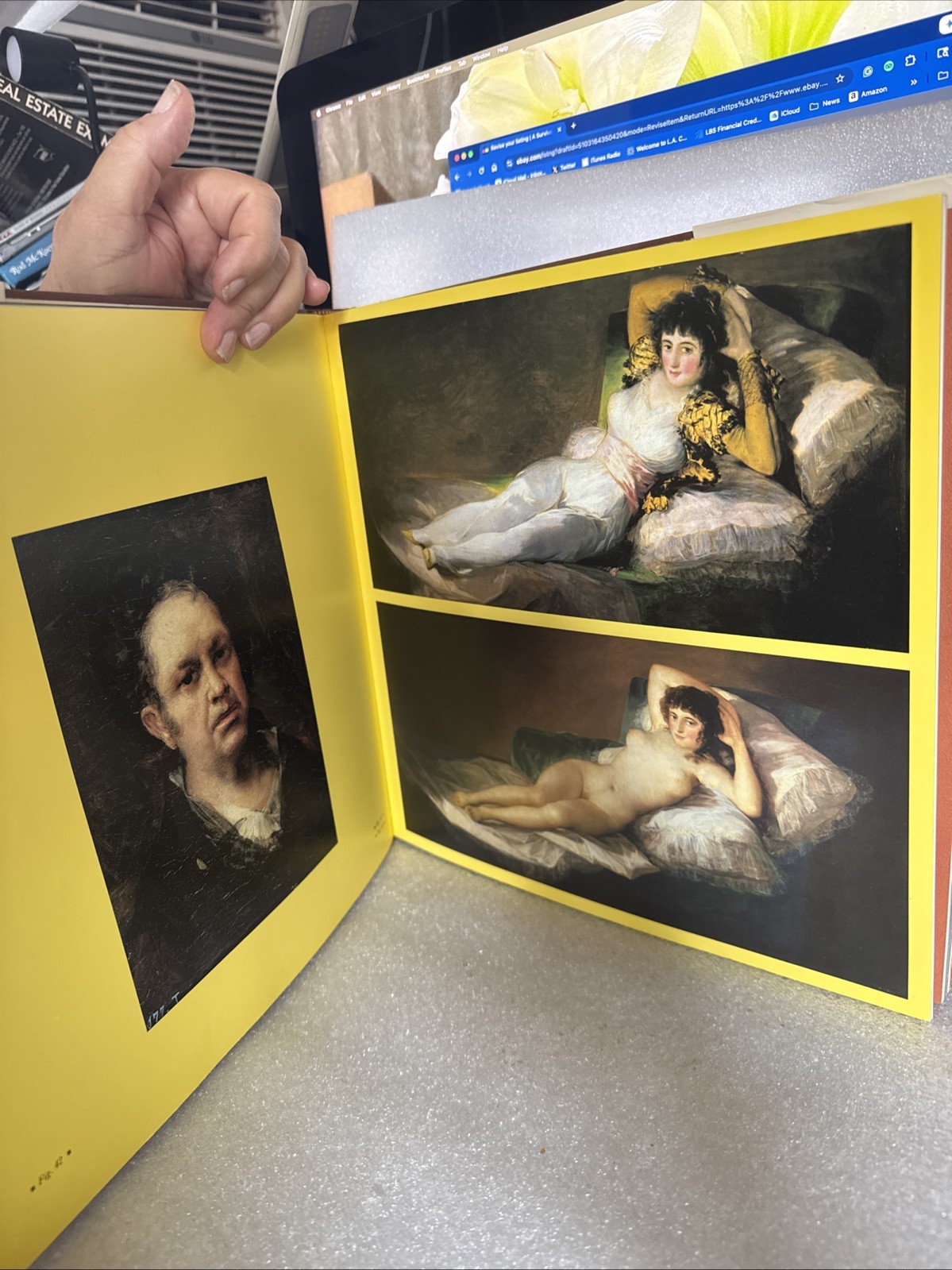 Goya: The Phantasmal Vision GUILLAUD