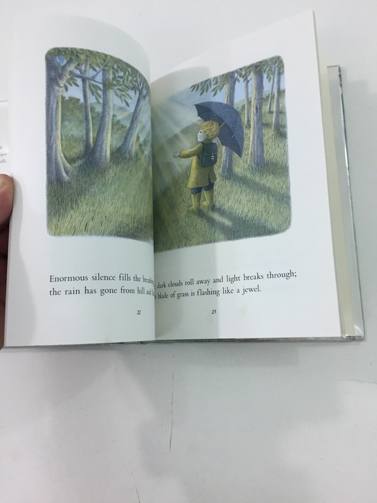All Wet! All Wet! – James Skofield (Hardcover, 1984, Dust Jacket, 1st Edition)