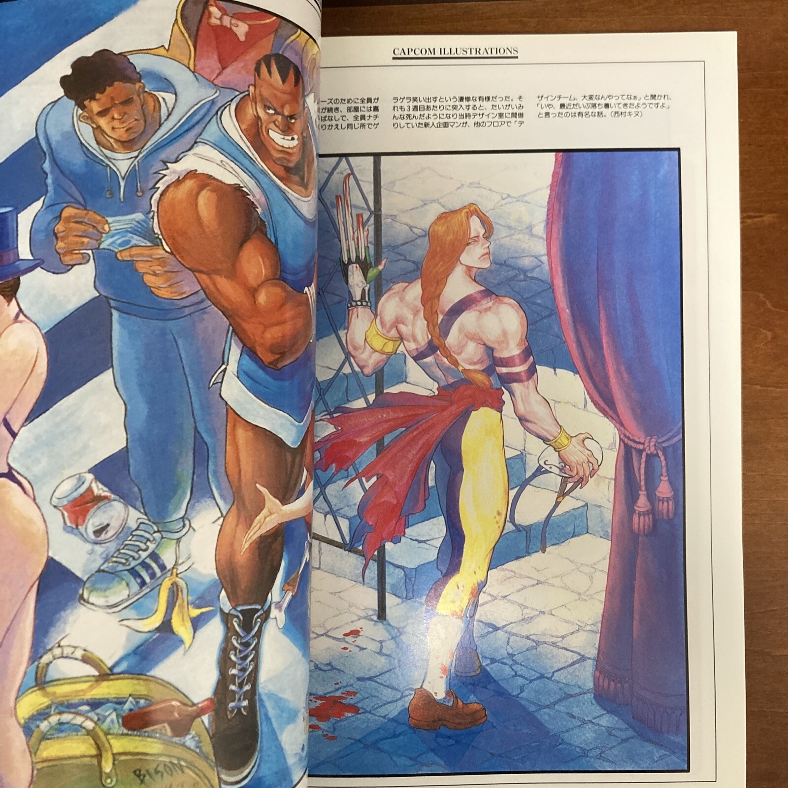 Capcom Illustrations Art Book