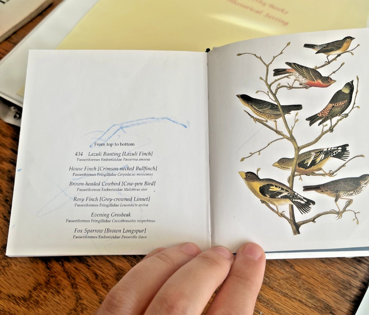 Audubon’s Birds of America by Roger & Virginia Peterson (2005 HB) Tiny Folio