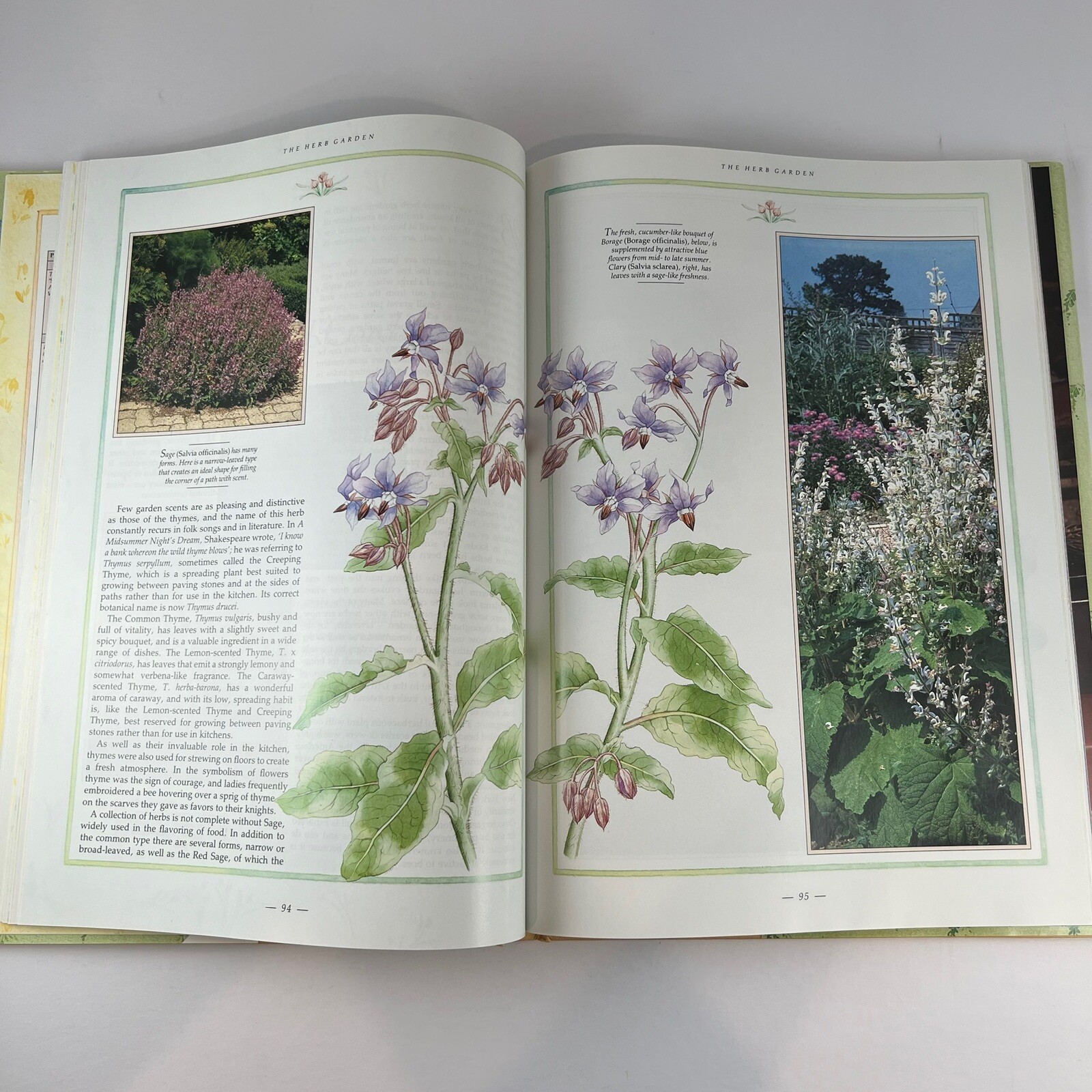 The Scented Garden by David Squire – Hardcover 1988 (used)