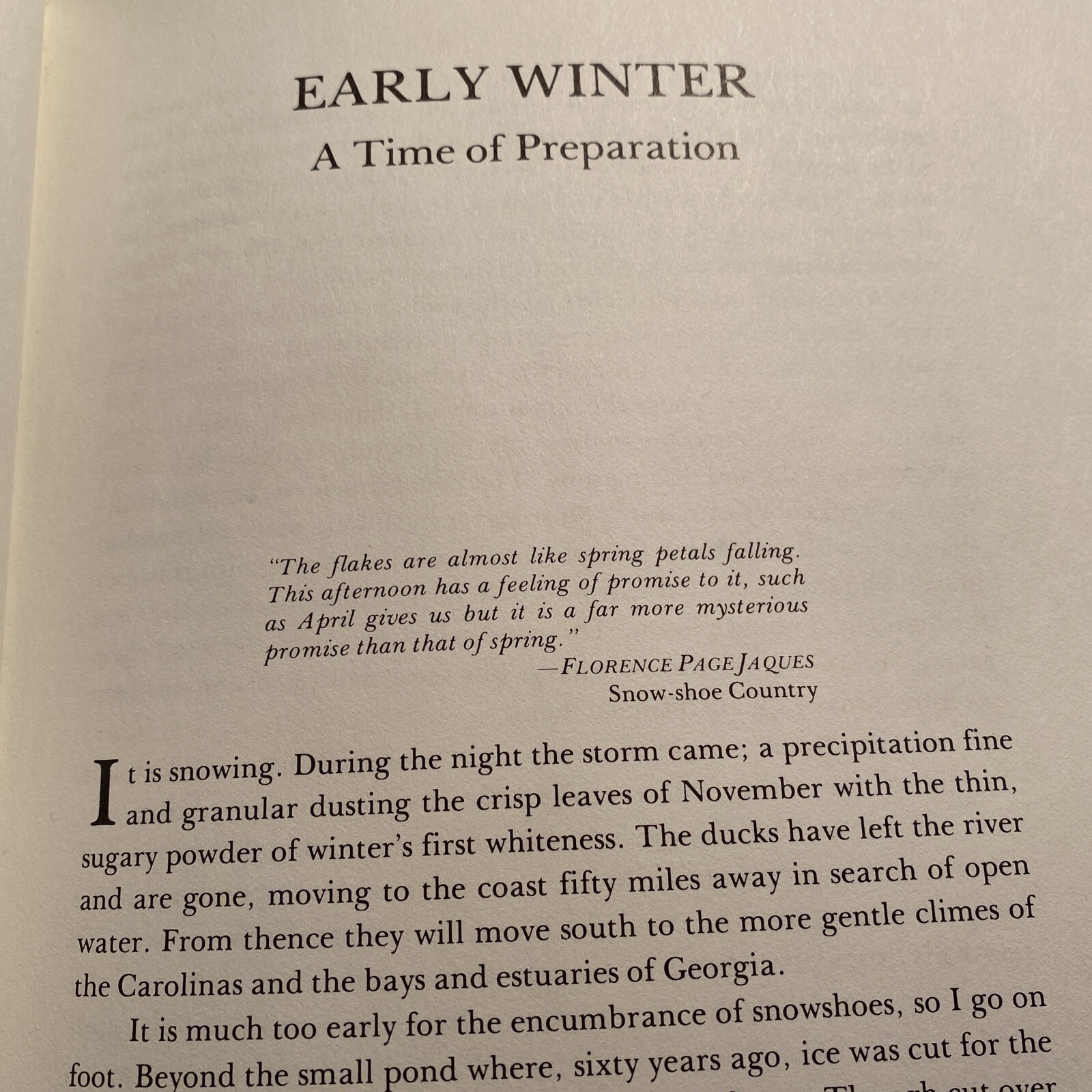 The Winter Woods and The Summer Woodlands by John Quinn Hardcover X library abi