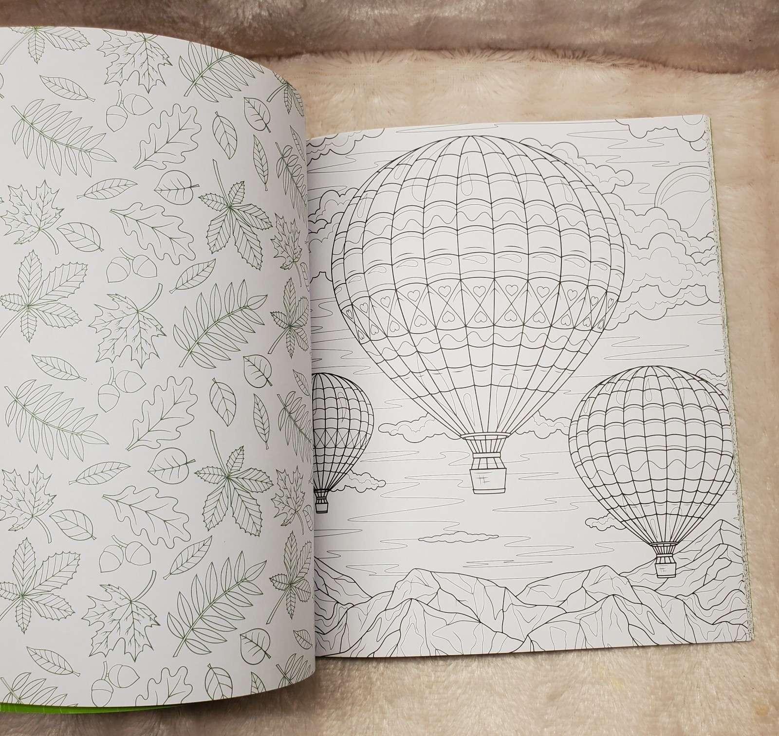 Mountains and Wilderness Coloring Book : Color Incredible Outdoor Scenes: New