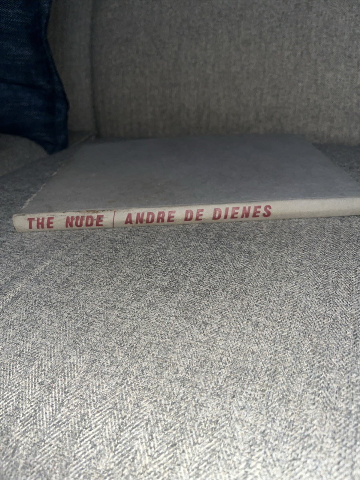 The Nude Andre De Dienes, hardcover, 1967 B&W Nude Photography