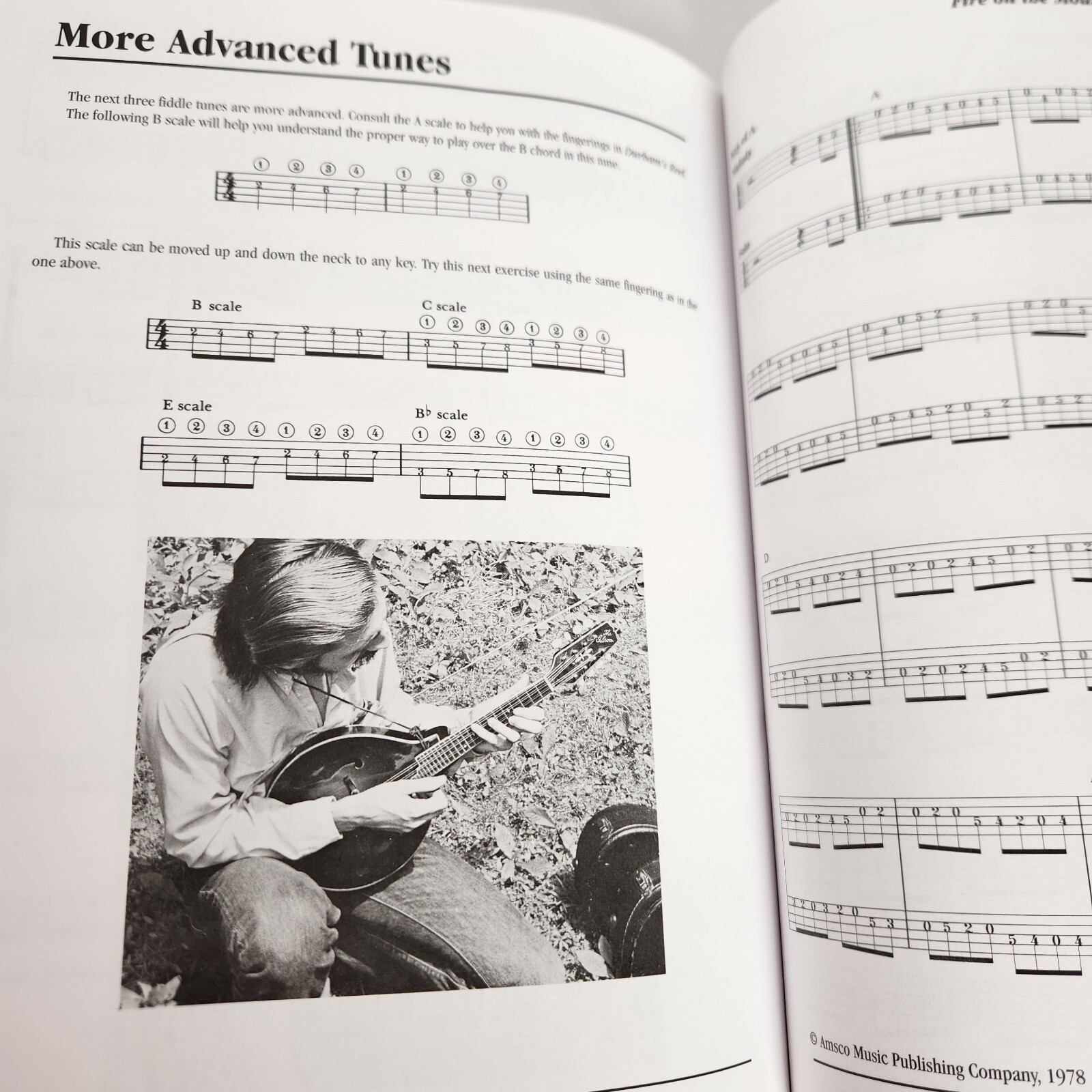 Teach Yourself Bluegrass Mandolin by Andy Statman w CD Instruction Learn to Play