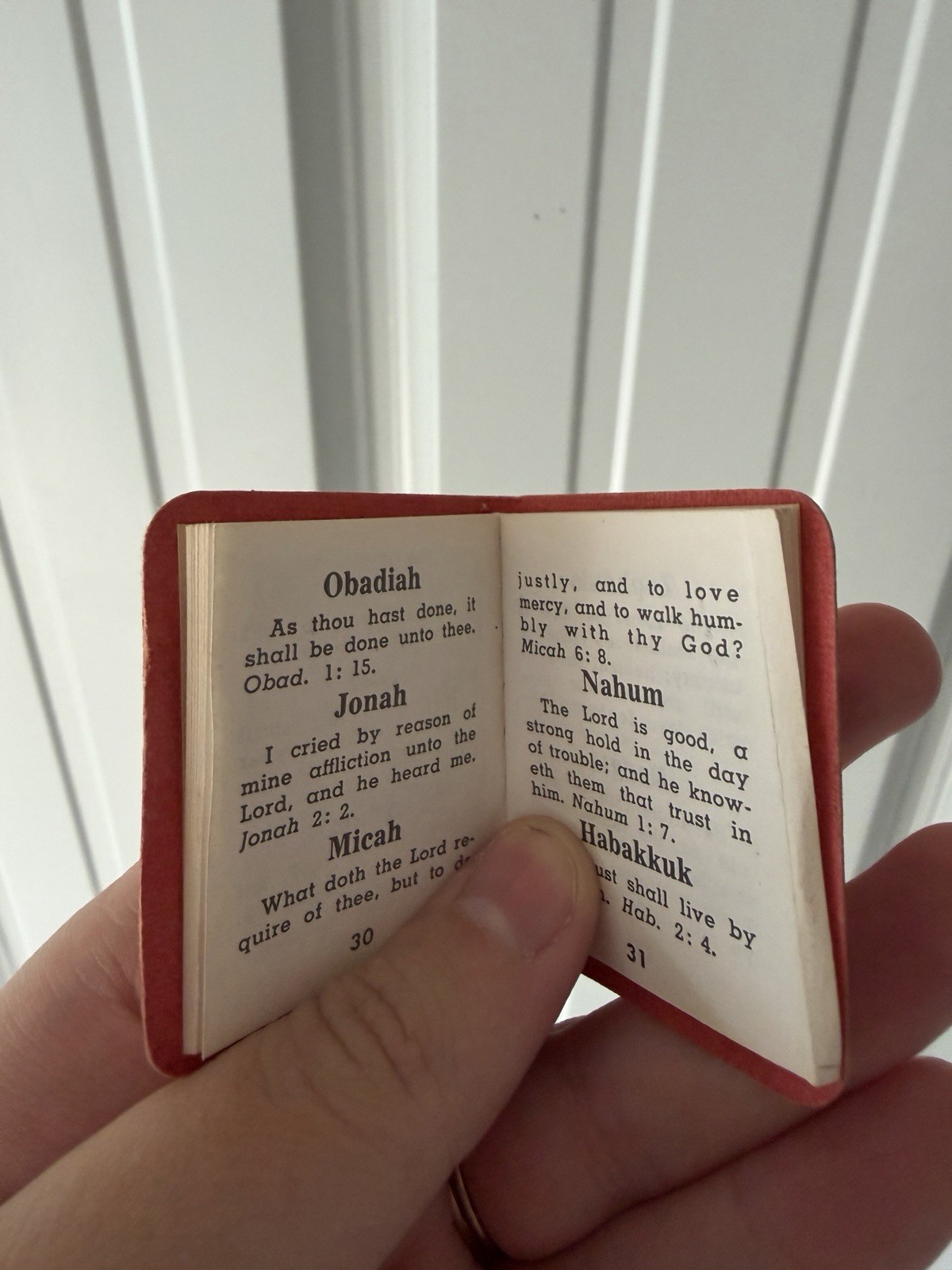 The Little Bible Pocket Book
