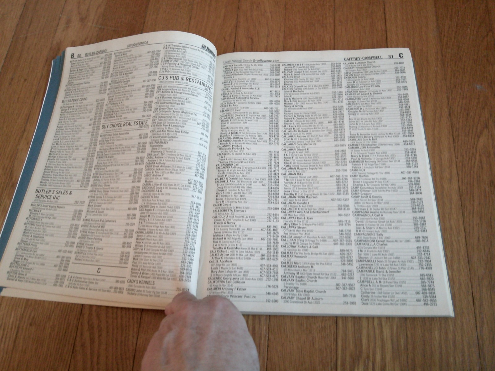 Cayuga Seneca County NY Phone Book Area Codes 315,607 White & Yellow Pages 2009