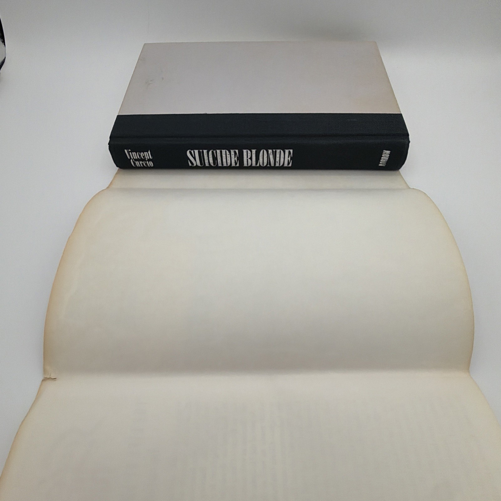 Gloria Grahame Bio Actress Suicide Blonde By Vincent Curcio Film Noir HC/DJ 1989