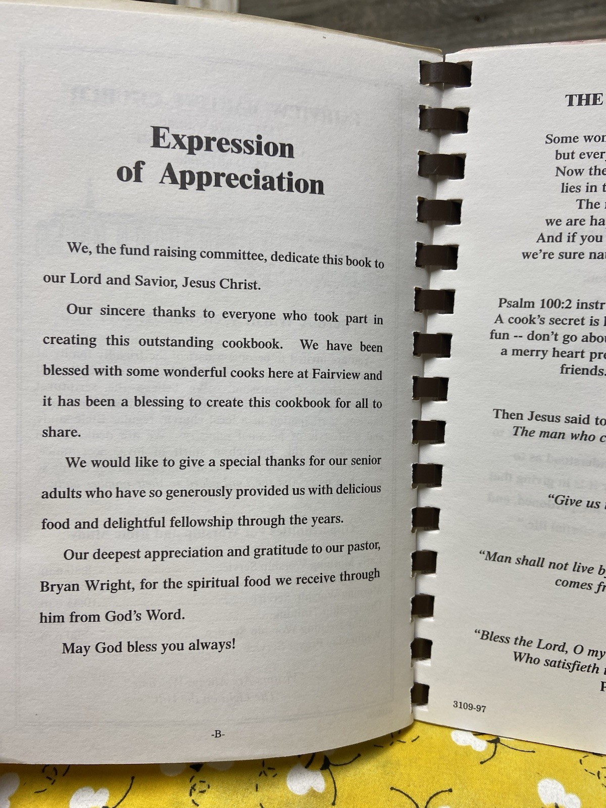 Cherished Recipes:Fairview Baptist Church Cookbook 1996 Grannycore
