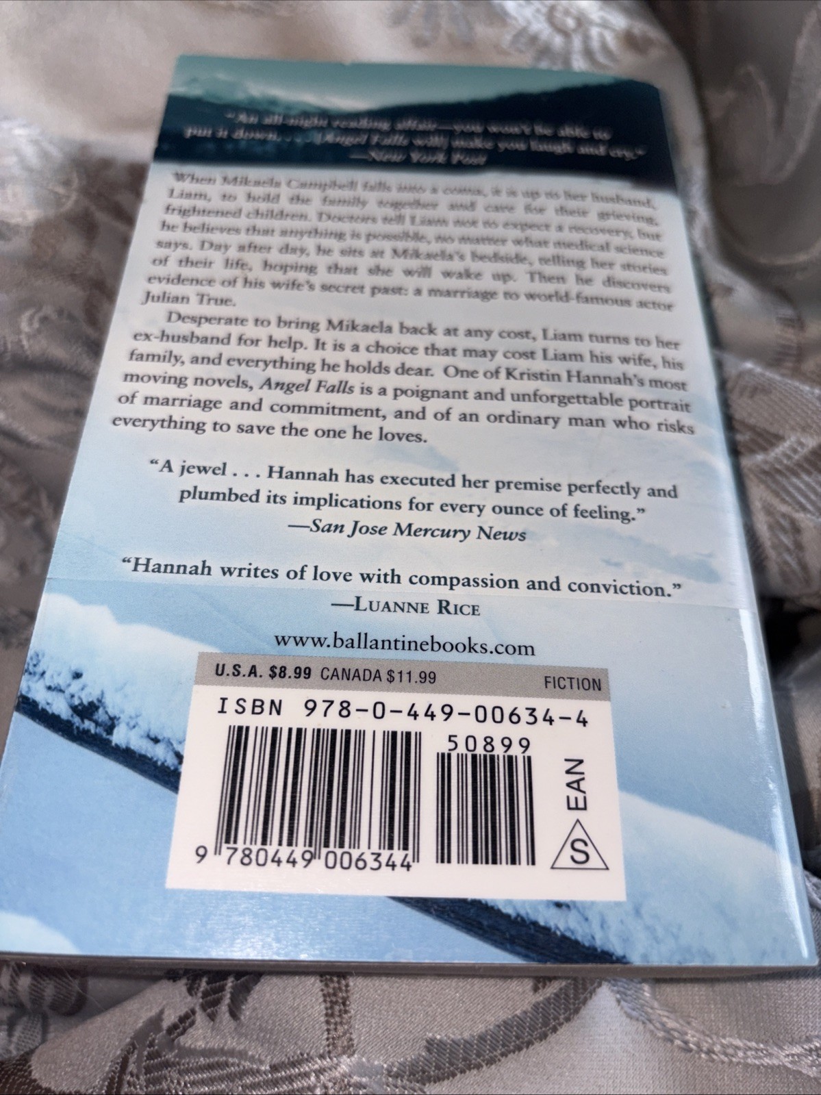 Angel Falls: A Novel – mass market paperback Hannah, Kristin