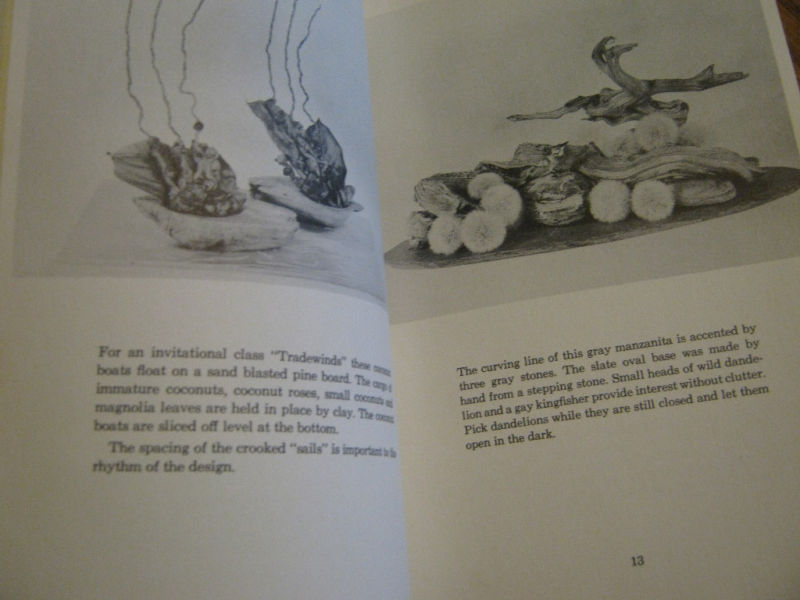 1960 Woodforms and Dry Material by Naida Gilmore Hayes