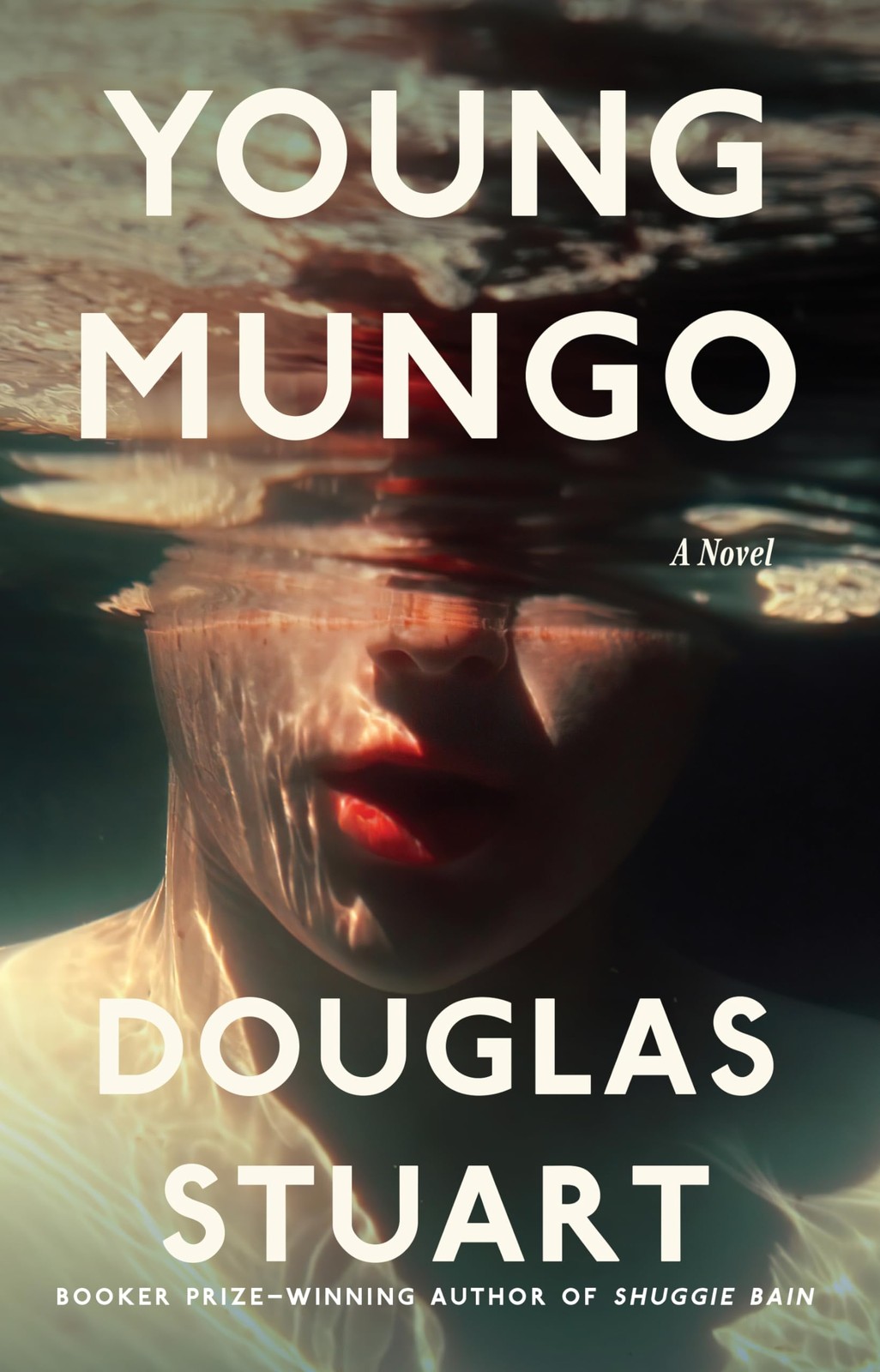 Young Mungo (Thorndike Press Large Print Basic) – library Stuart, Douglas