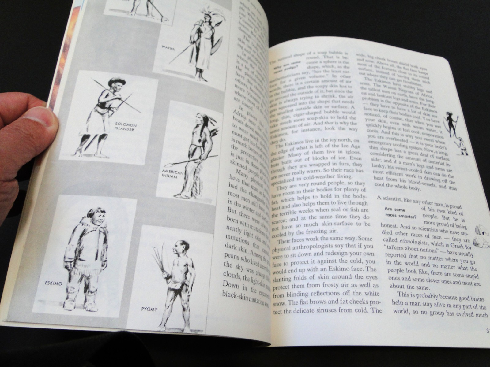 Vintage 1981 The How and Why Wonder Book of Primitive Man by Donald Barr