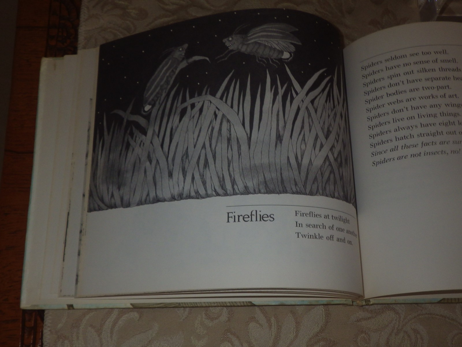 Bugs : Poems By Mary Ann Hoberman 1976 HC 1st ED in Dust Jacket RARE SIGNED!
