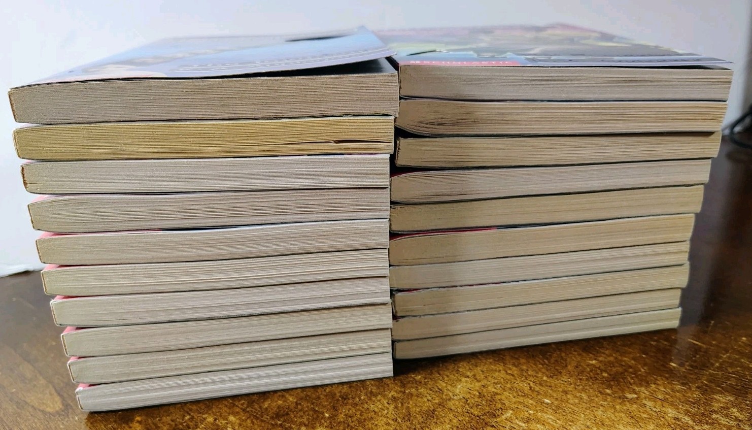 ANIMORPHS BOOKS LOT OF 20 BY K. A. APPLEGATE YOUNG ADULT SCIENCE FICTION FANTASY