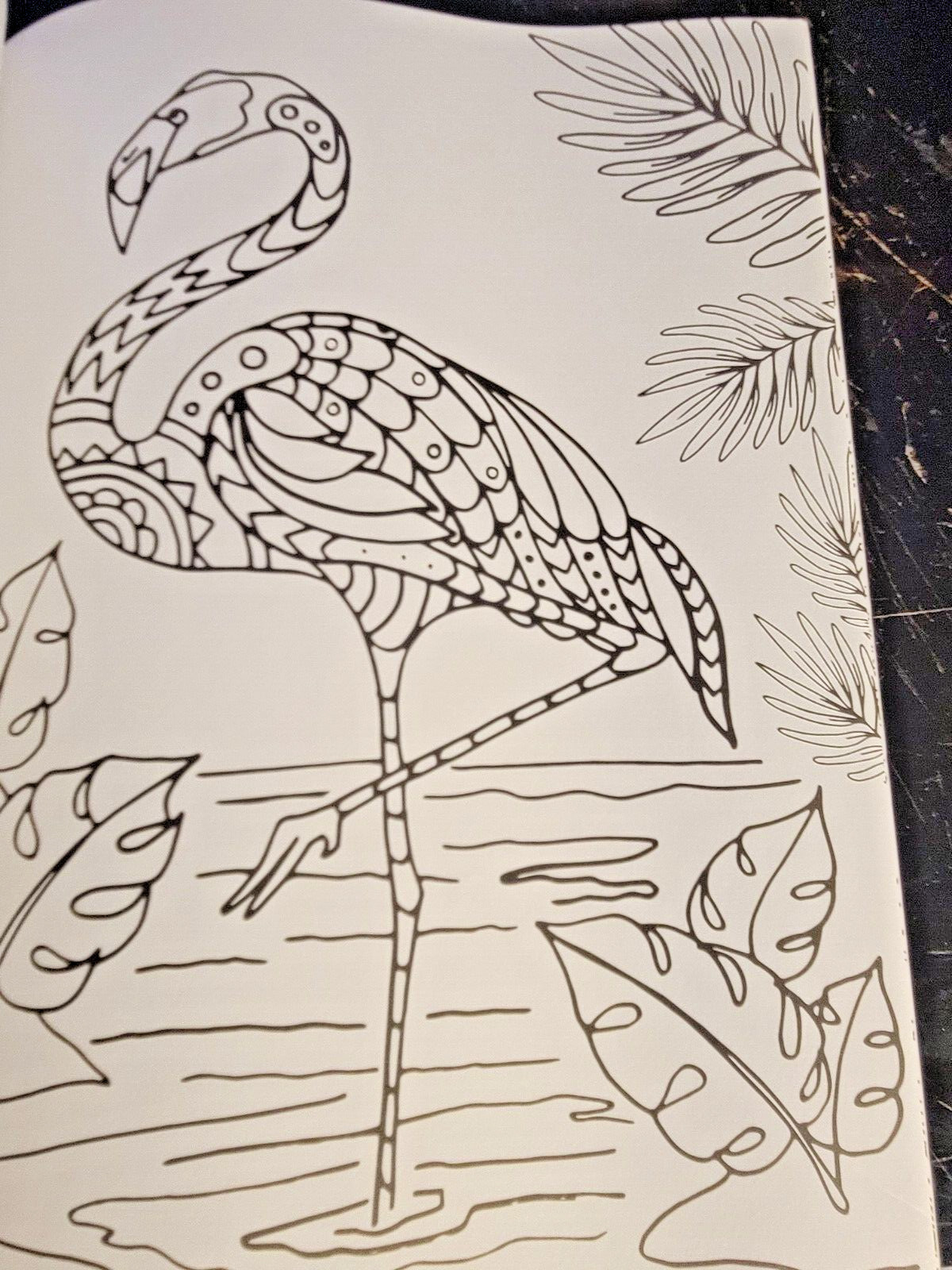 COLORS OF THE WILD! Vol. 16 Adult Coloring Book With 47 Prints Ready To Frame!
