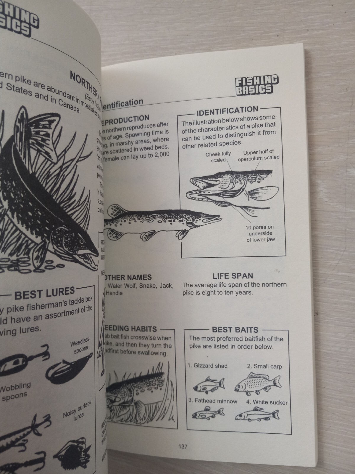 Fishing Basics the Complete Illustrated Guide by Kugach, Gene 1993