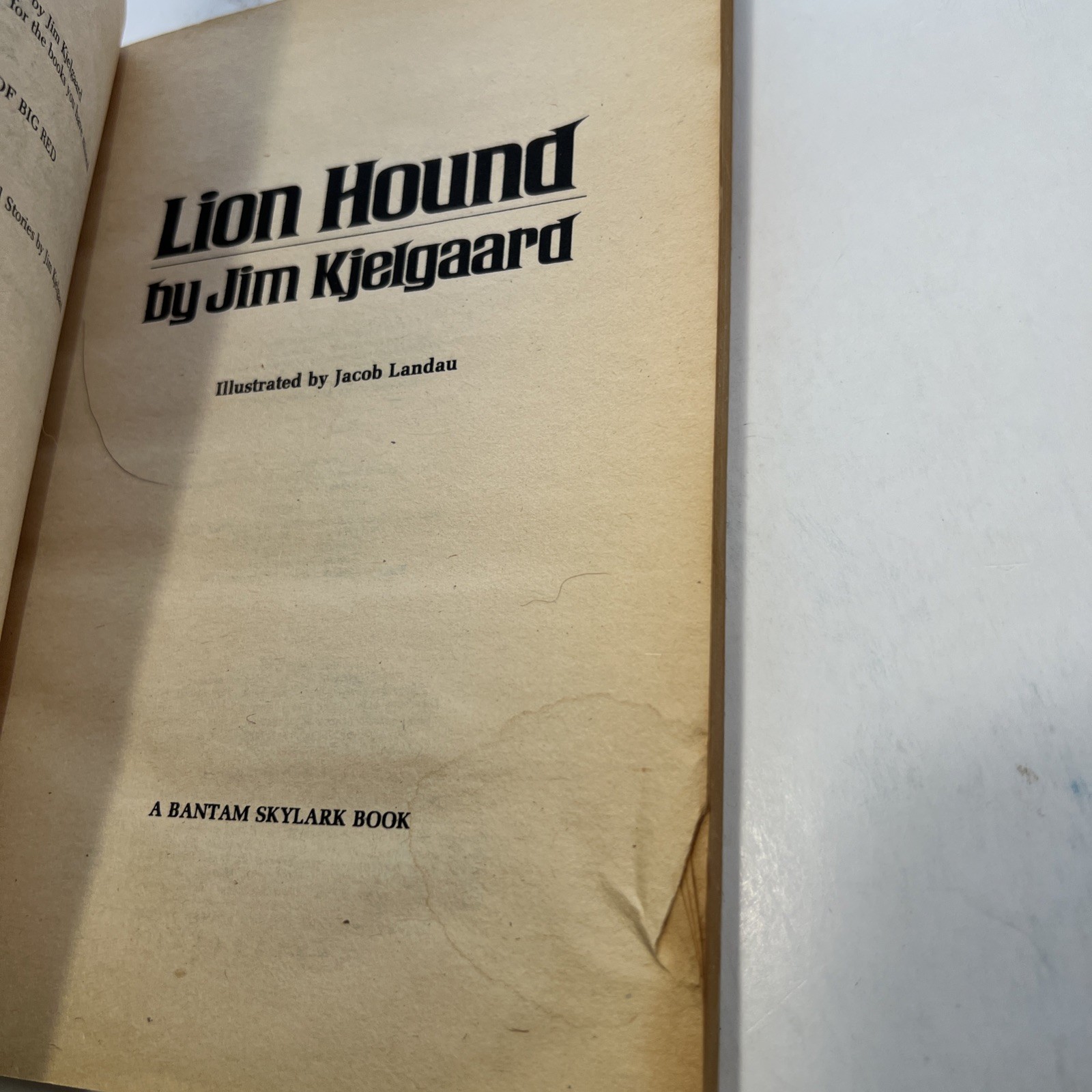 Lion Hound (1980 Softcover 5 1/4 x 7 1/2 inches, 131 pages. Bantam Skylark…
