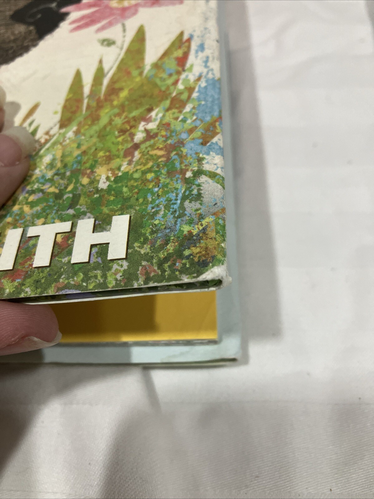 Perfect Day by Lane Smith (2017, Hardcover)