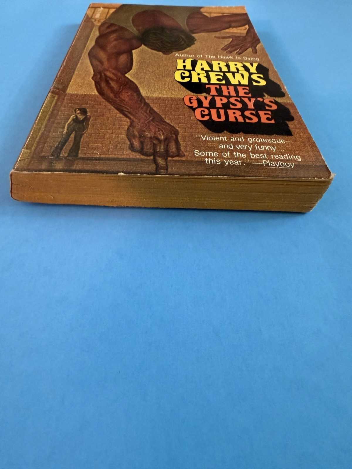 GYPSYS CURSE By Harry Crews 1976 Pocket Books Paperback 1st Printing