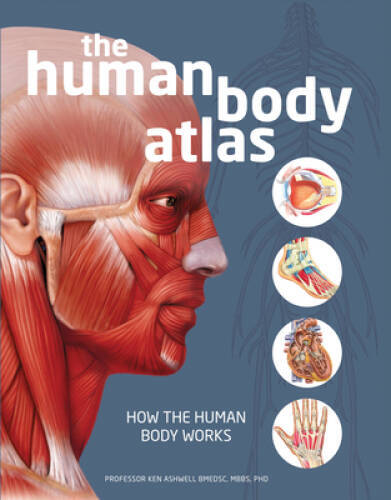 The Human Body Atlas: How the Human Body Works – Hardcover – GOOD