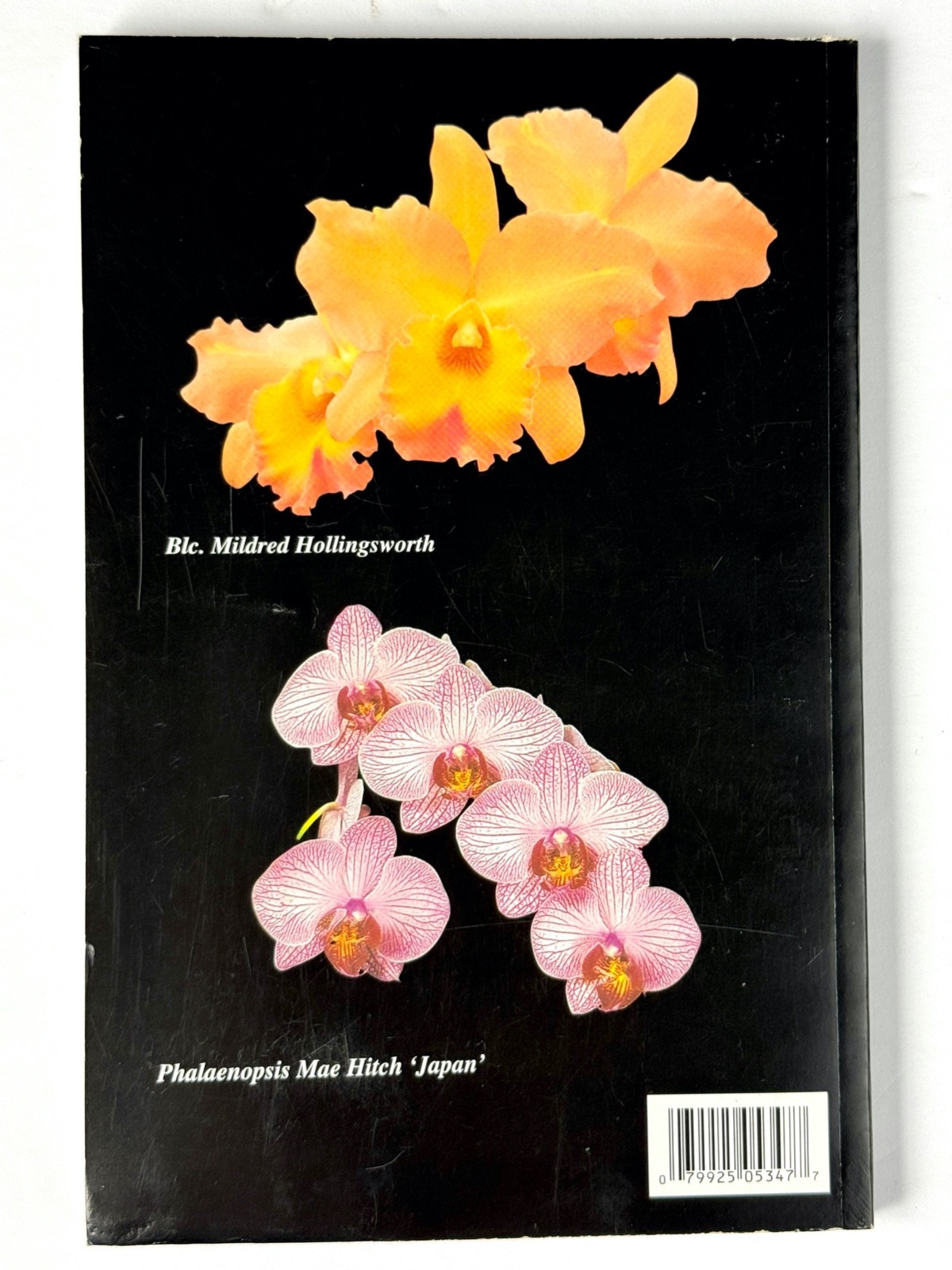Lot of 3 Orchid Books Mark Griffiths (2005 HC) + Orquideas +Albert Hollingsworth