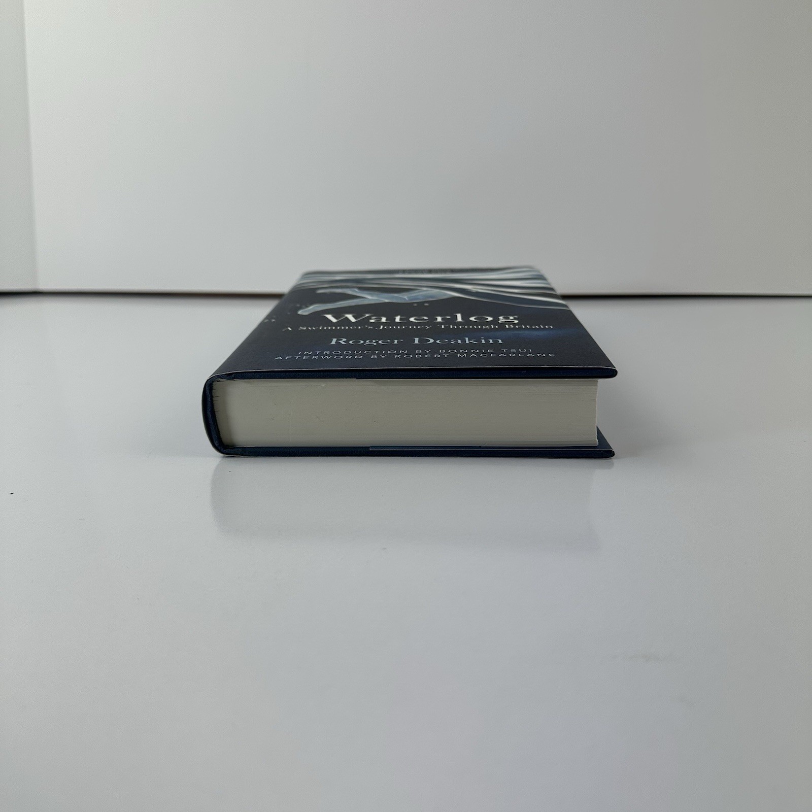 Waterlog: A Swimmer’s Journey Through Britain 1st US Edition by Roger Deakin