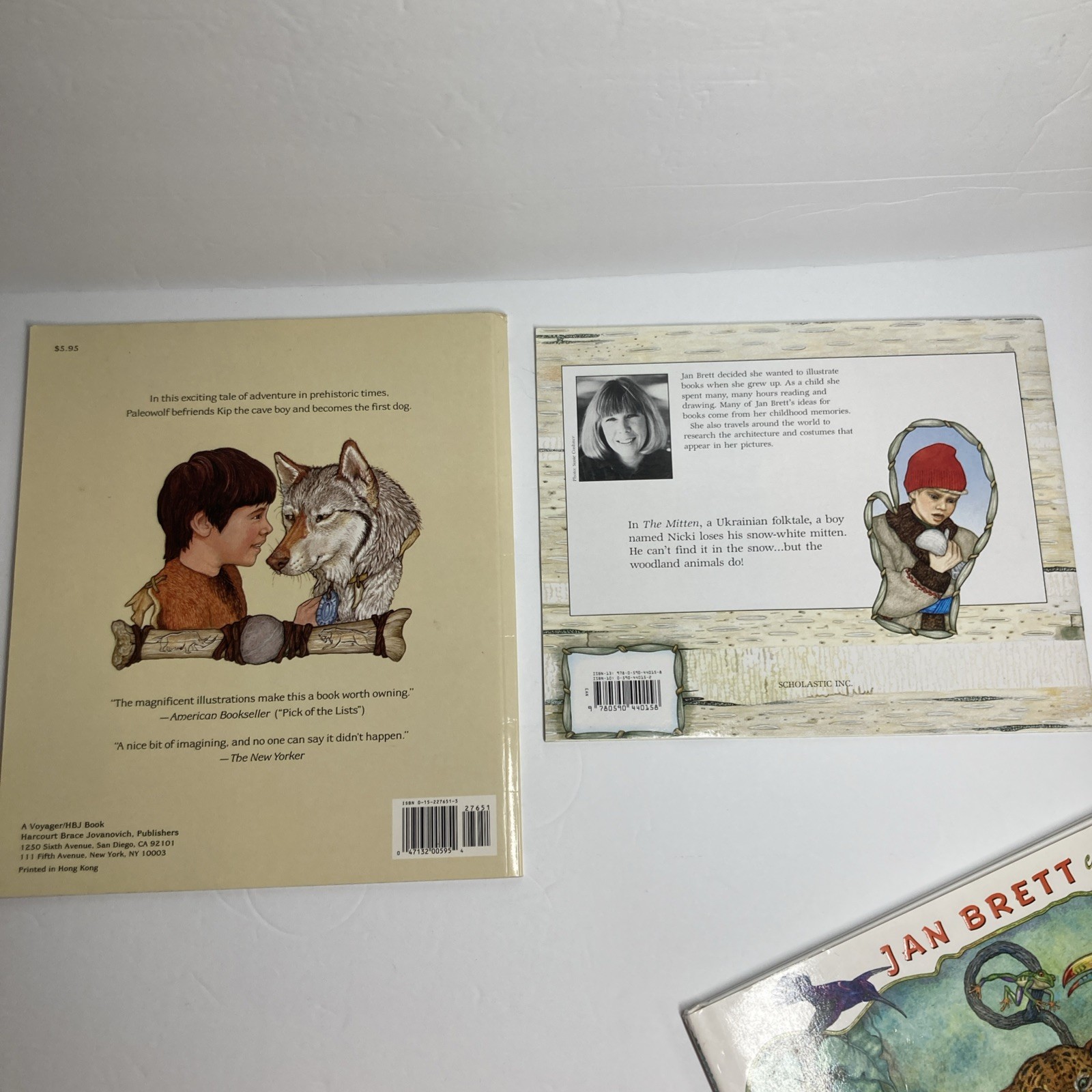 Jan Brett Books Lot of 4: Mitten, Umbrella, Goldilocks, First Dog Paperback