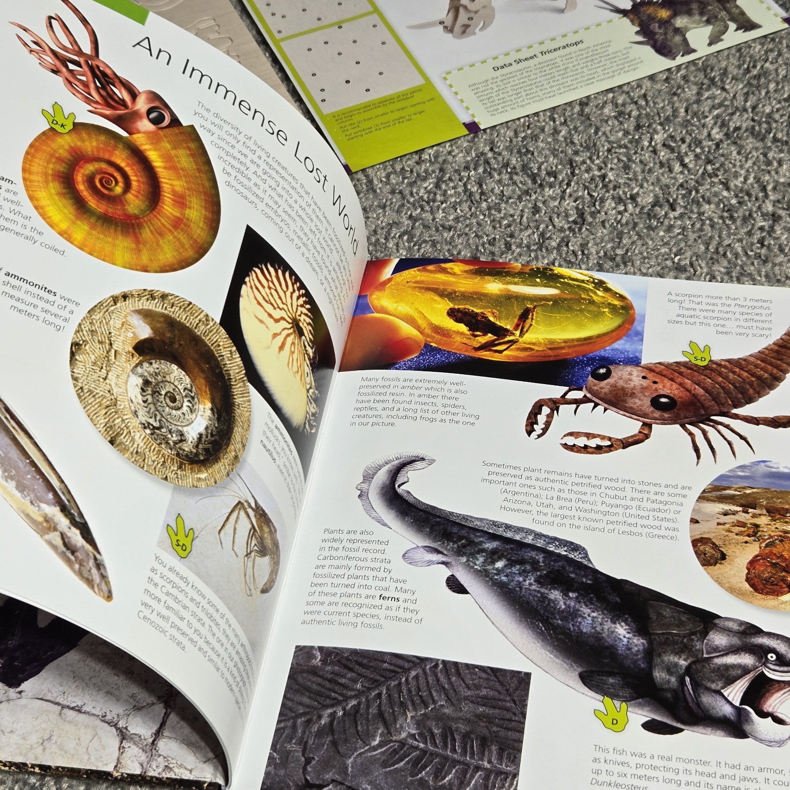 NEW Incredible Dinosaurs Book By Safeliz Educational Includes Cut Outs Reading