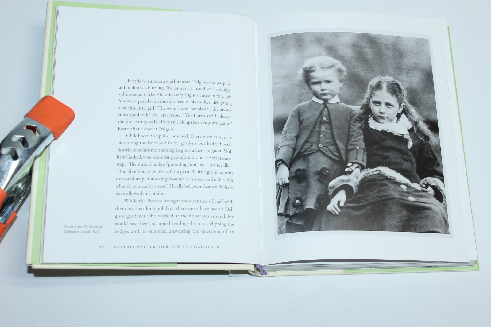 Beatrix Potter’s Gardening Life : The Plants and Places That Inspired the…