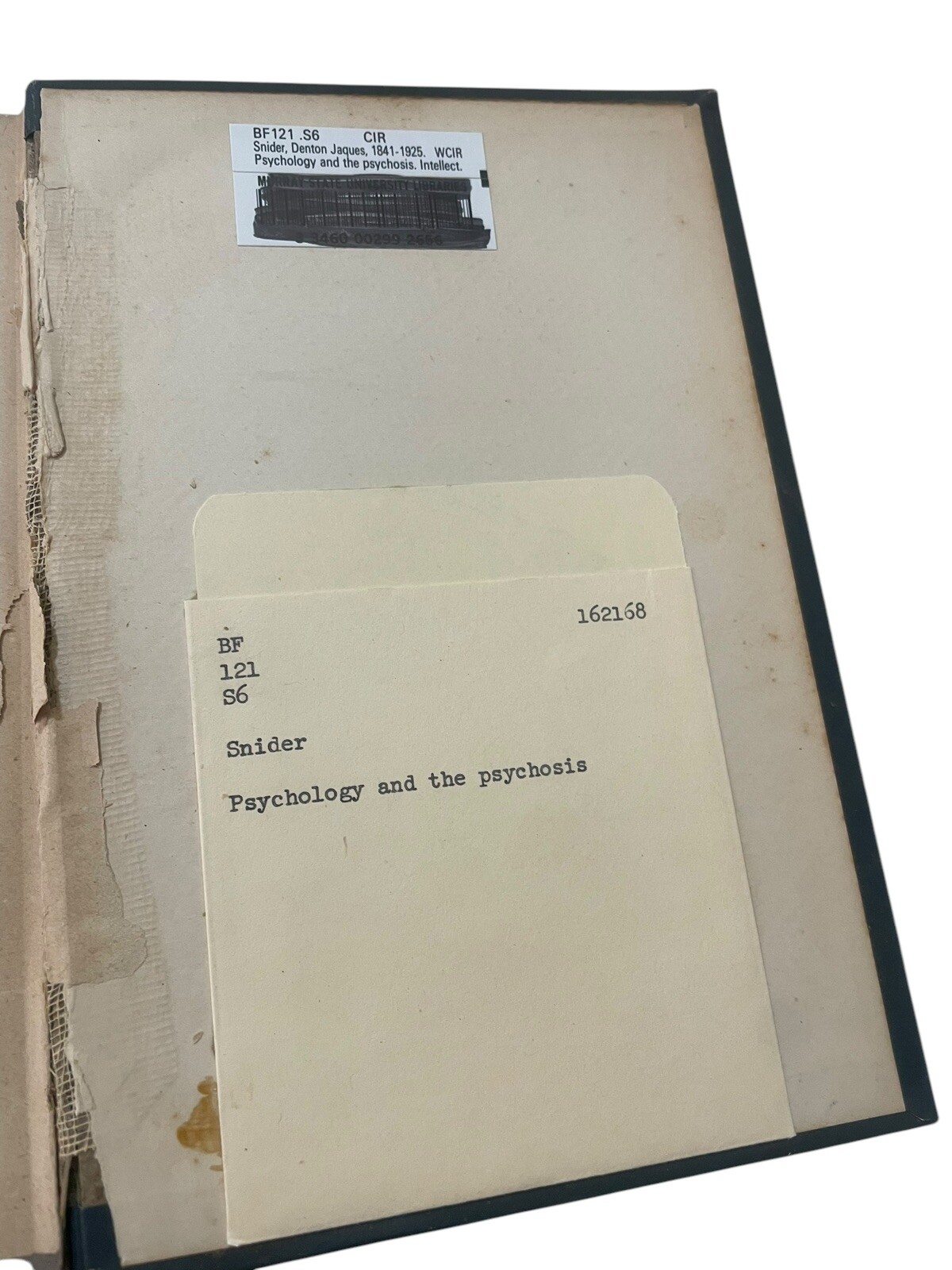 Psychology And The Psychosis Intellect 1896 Hardcover Denton J. Snider