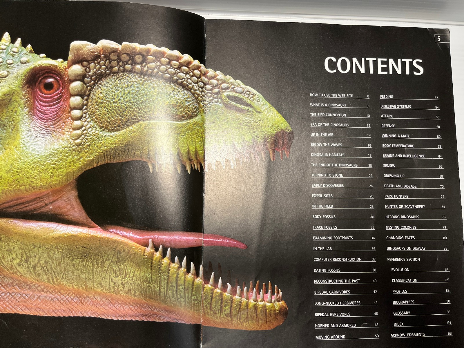 3 Dinosaurs Curriculum 3 Kids Student Information Home school Classroom Lot of 6
