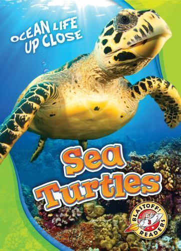 Sea Turtles; Ocean Life Up Close – Kari Schuetz, 9781626174221, library binding
