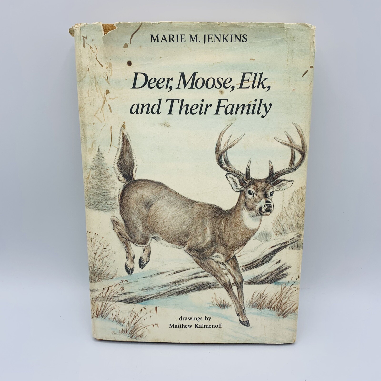 Deer Moose Elk and Their Family Hardcover Marie M Jenkins 1979 Good Nature Vtg