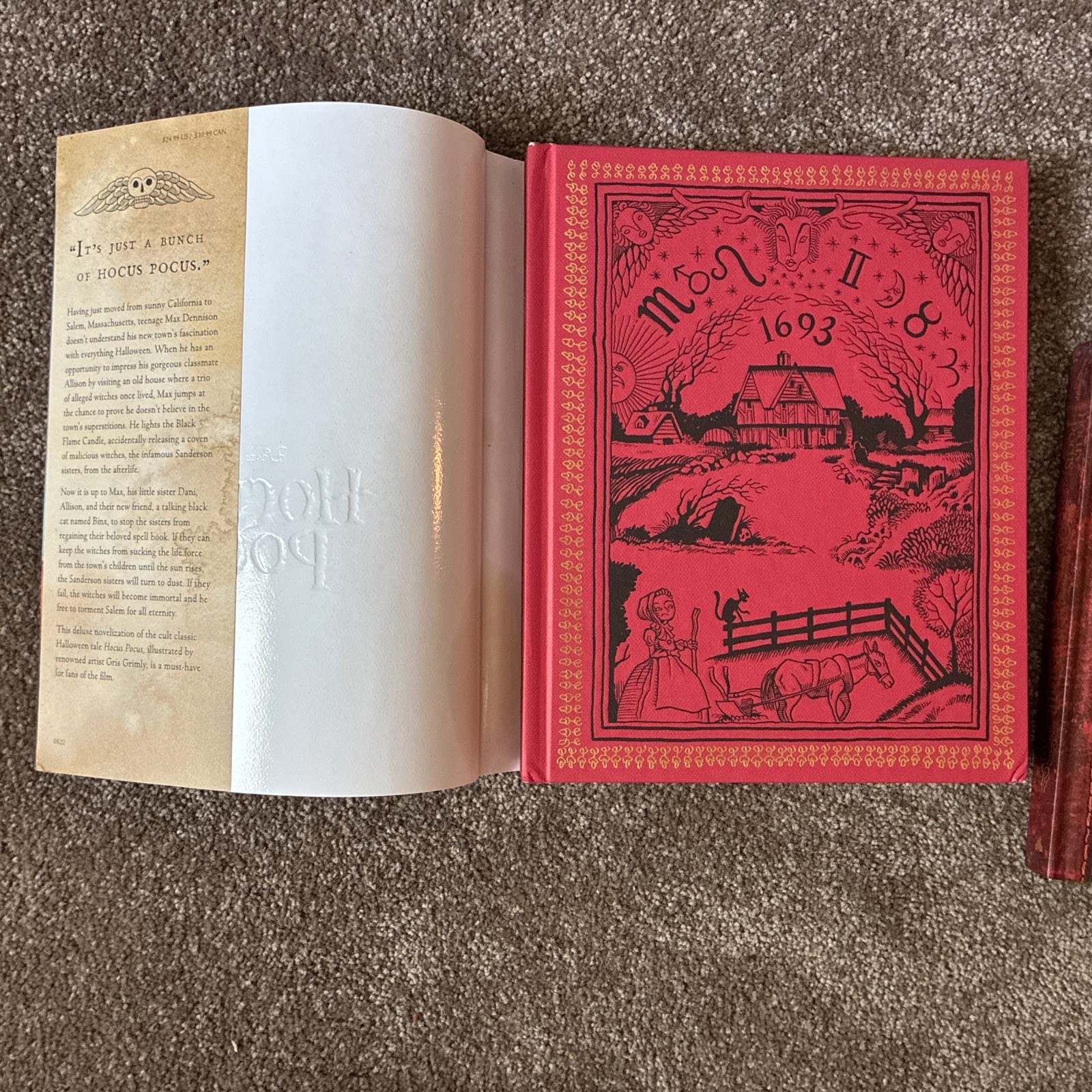 Disney Hocus Pocus Book Lot The Illustrated Novelization & Spell Book Halloween