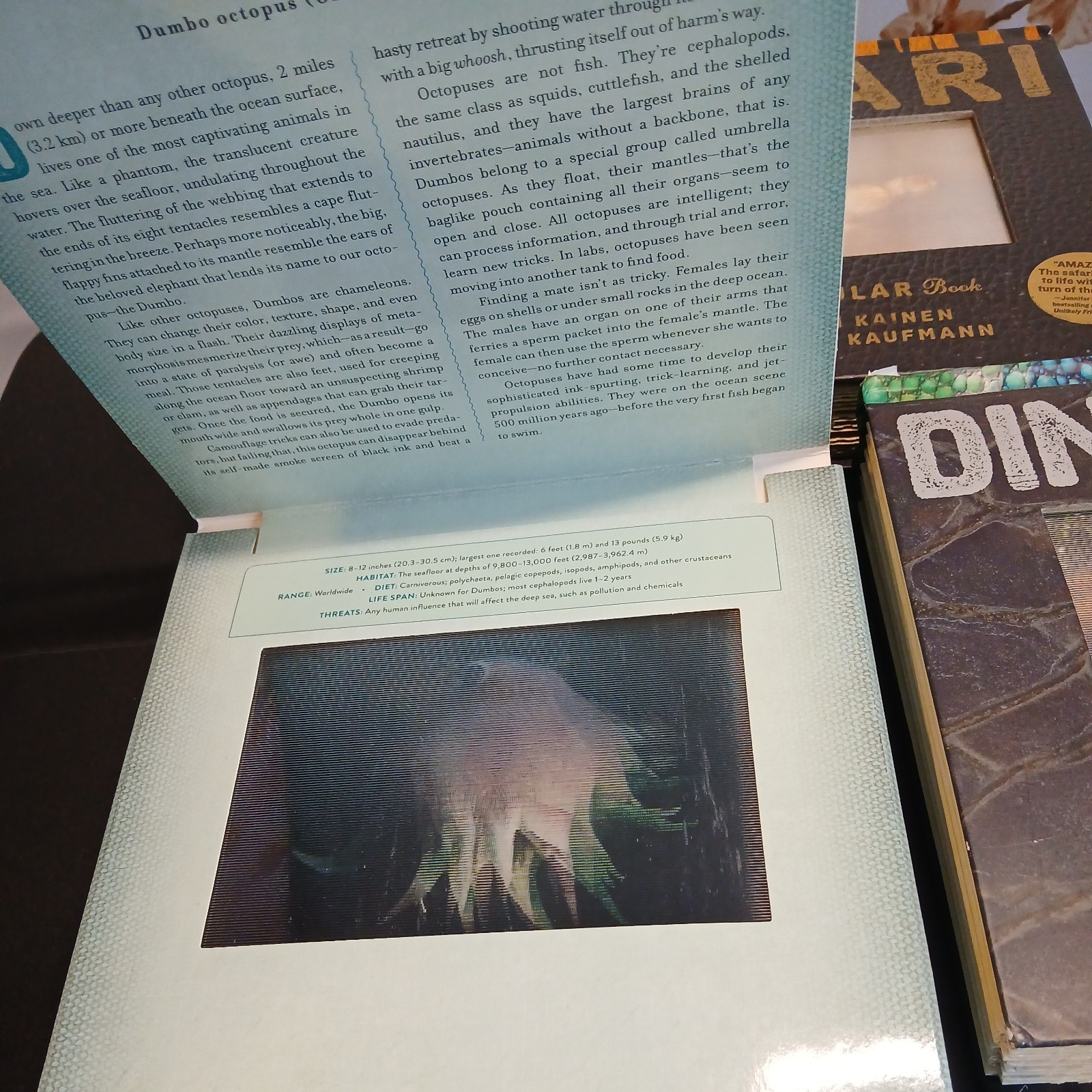 Ocean: A Photicular Book – Hardcover, by Kainen Dan; Kaufmann Carol – Very Good