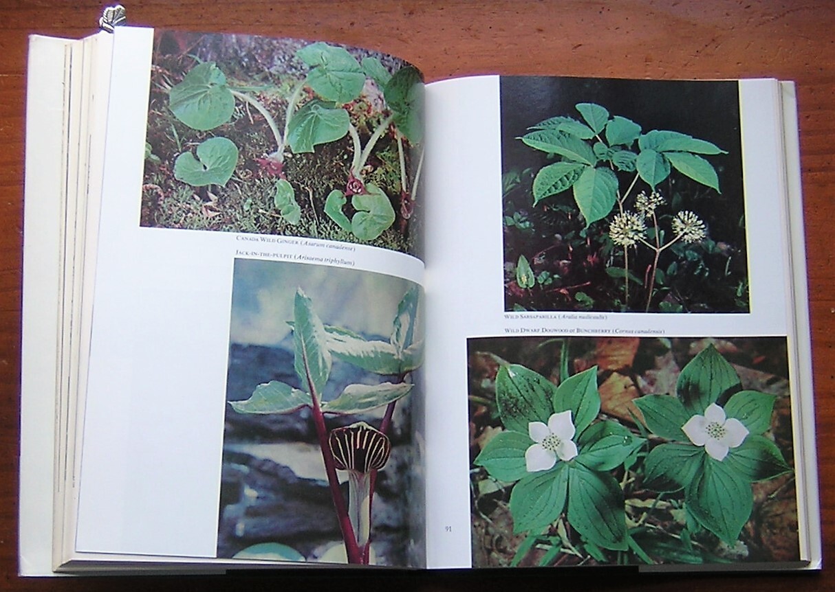 VERMONT LIFE Book of Nature Ronald Rood Hal Borland 1967 HC Dustjacket w/ Photos