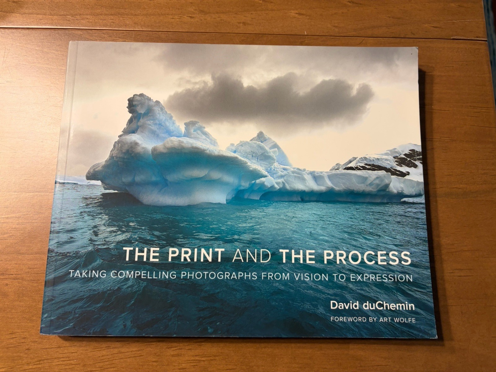 The Print and The Process: Taking Compelling Photographs from Vision to Expressi
