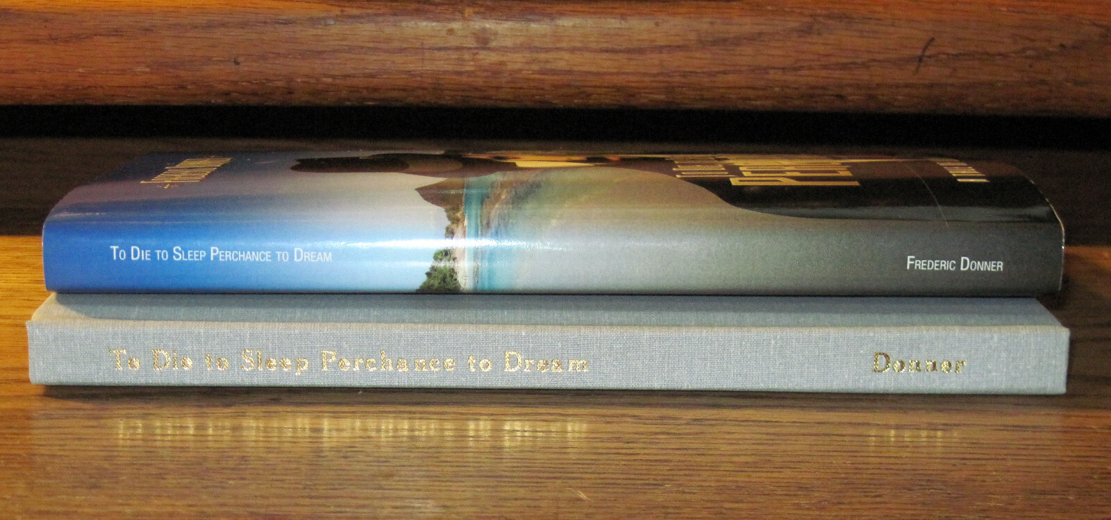 To Die To Sleep Perchance To Dream: A Tale Of Love & Mystery, 2013 HC, 158 pages