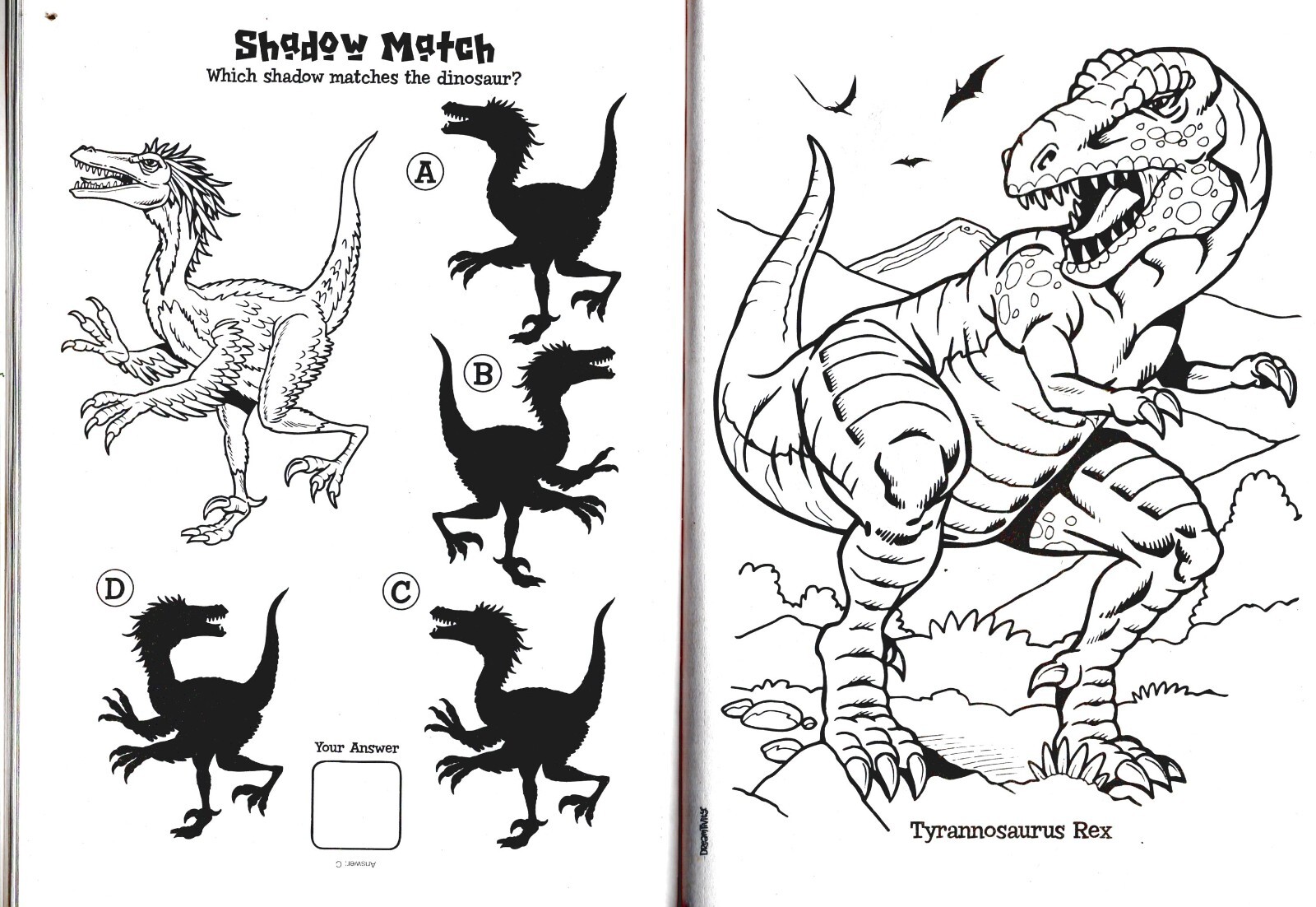 Dino Crash – Coloring & Activity Book