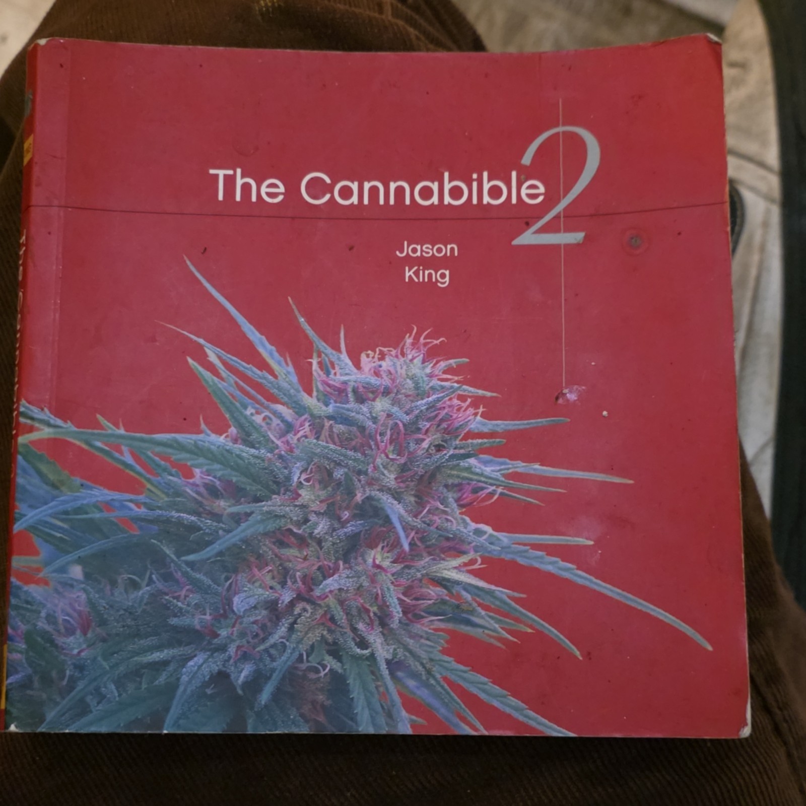 The Cannabible 2 Jason King Ten Speed Press Paperback Marijuana Cultivation Book