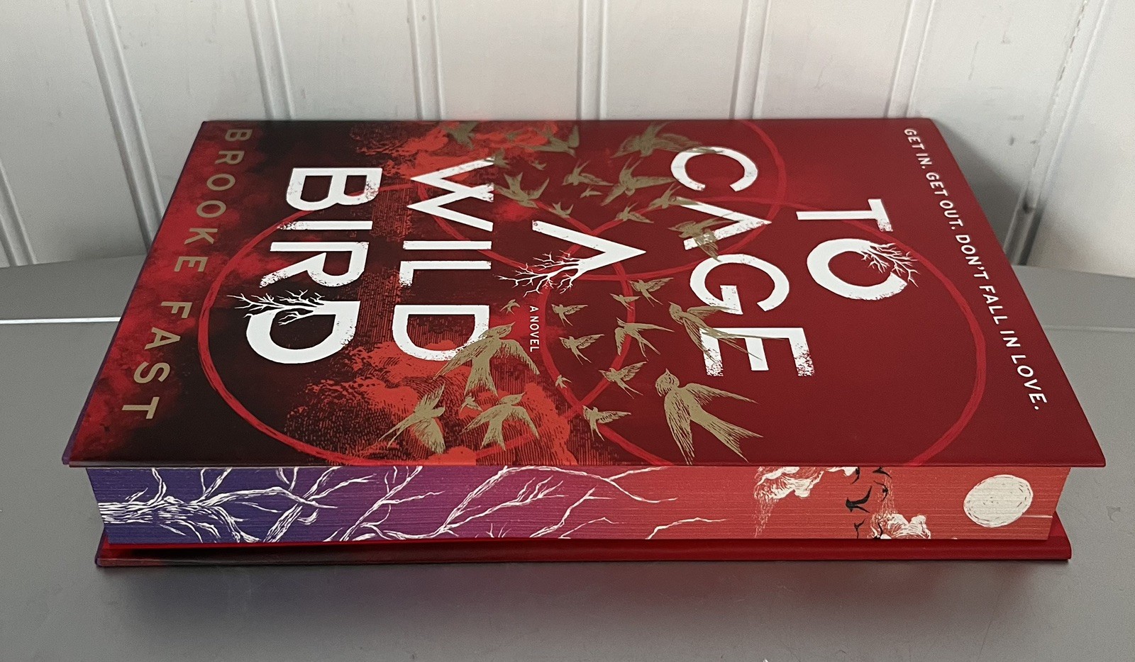 To Cage a Wild Bird by Brooke Fast Hardcover Book
