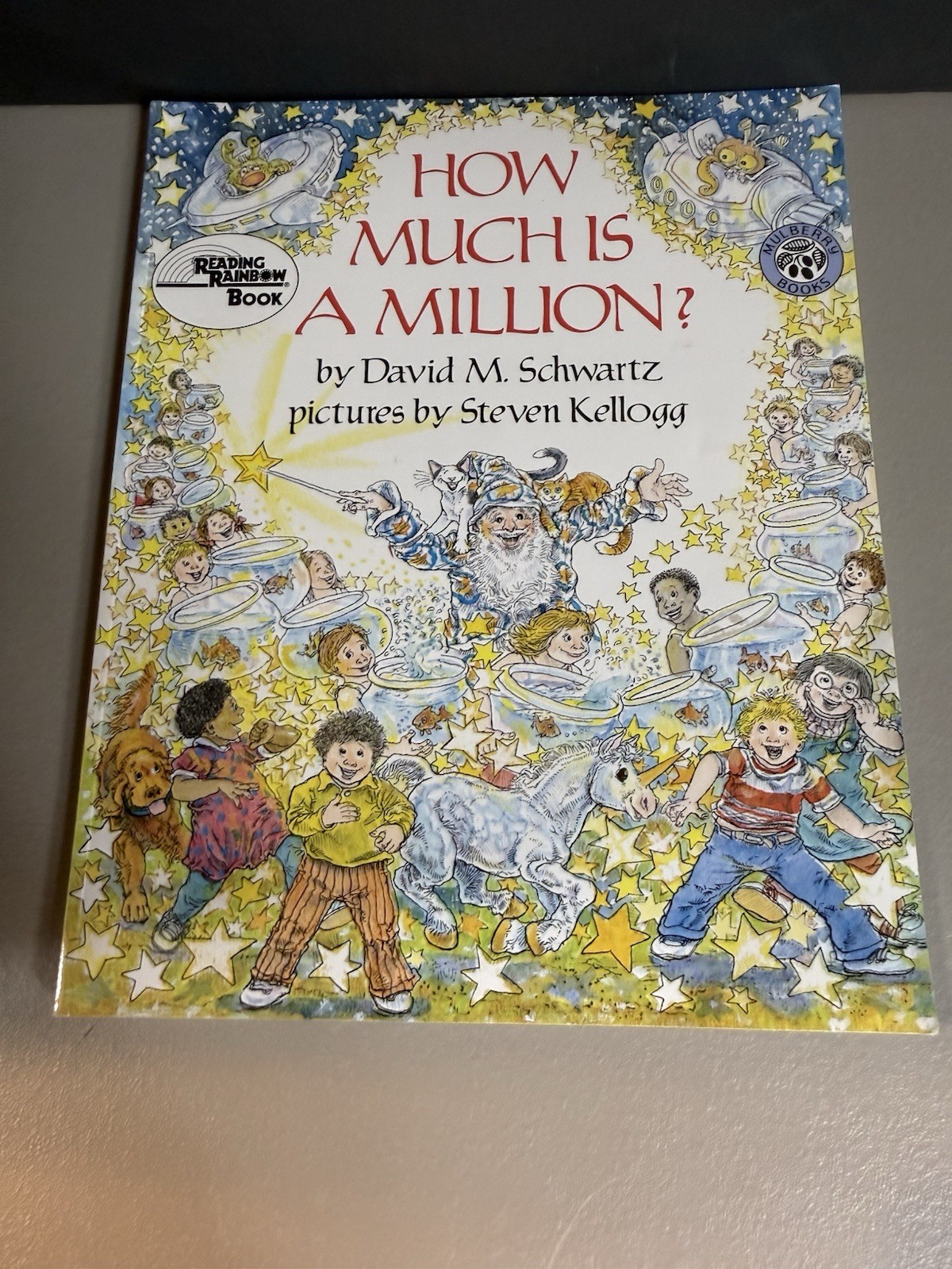 “How Much Is a Million?” by David M Schwartz ( Reading Rainbow Paperback)