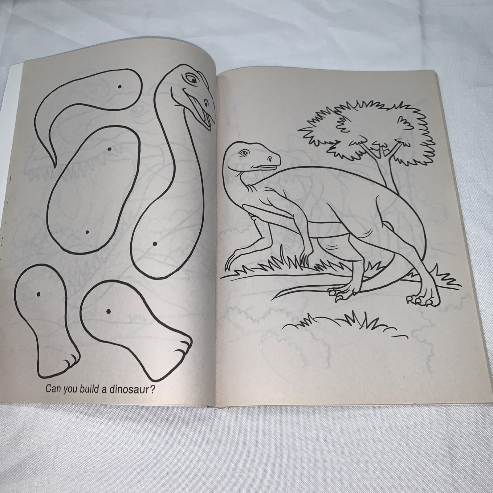 DINOSAURS COLORING BOOK.