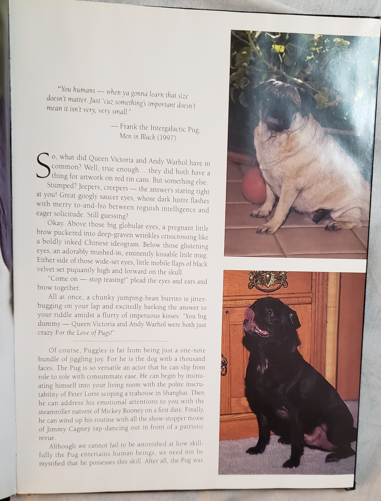 For the Love of Pugs by Robert Hutchinson 1998 Illus Brown Trout Pub Ribbon HC