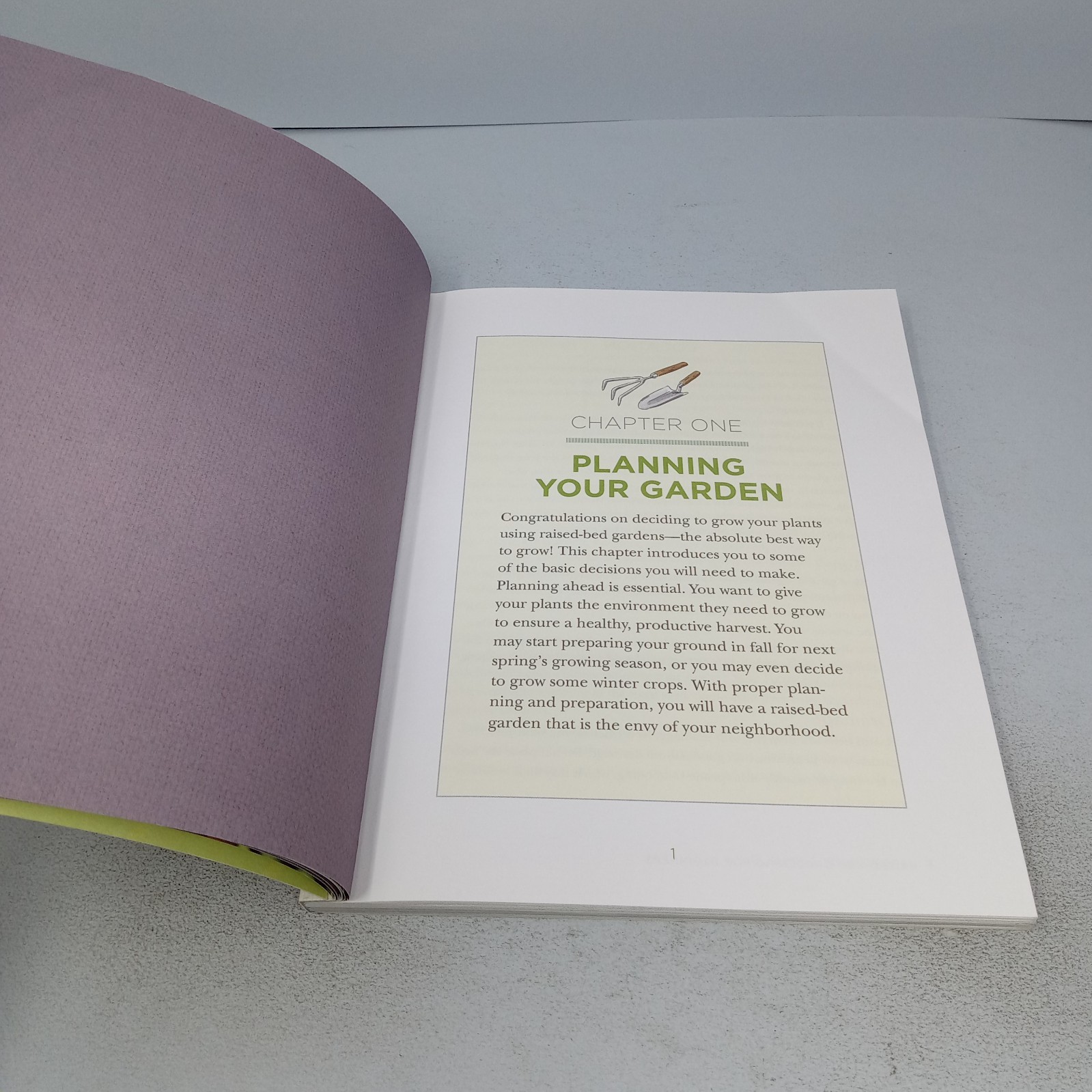 Raised-Bed Gardening for Beginners 2019 Rockridge Press Paperback by Tammy Wylie